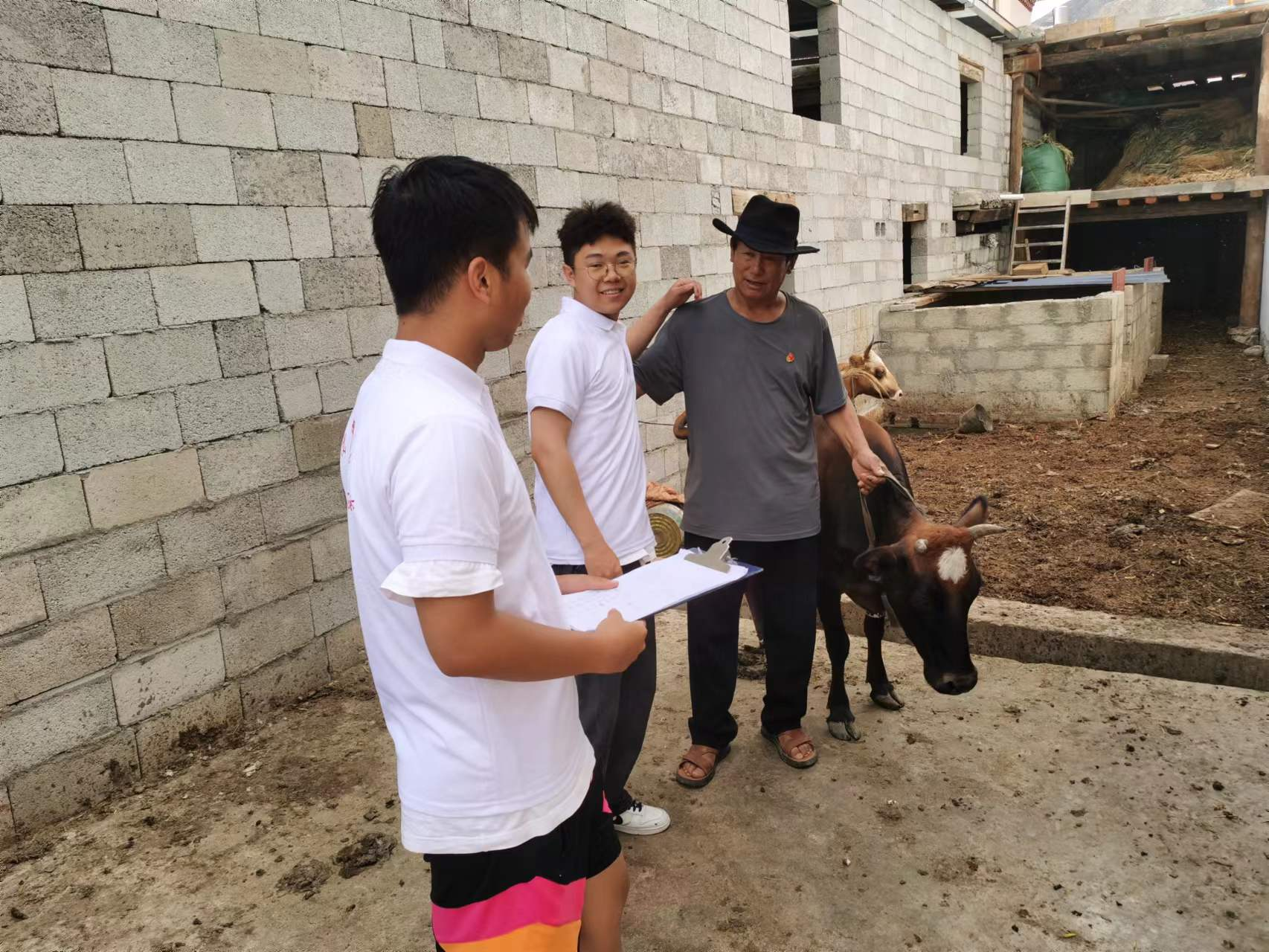 bevictor伟德官网