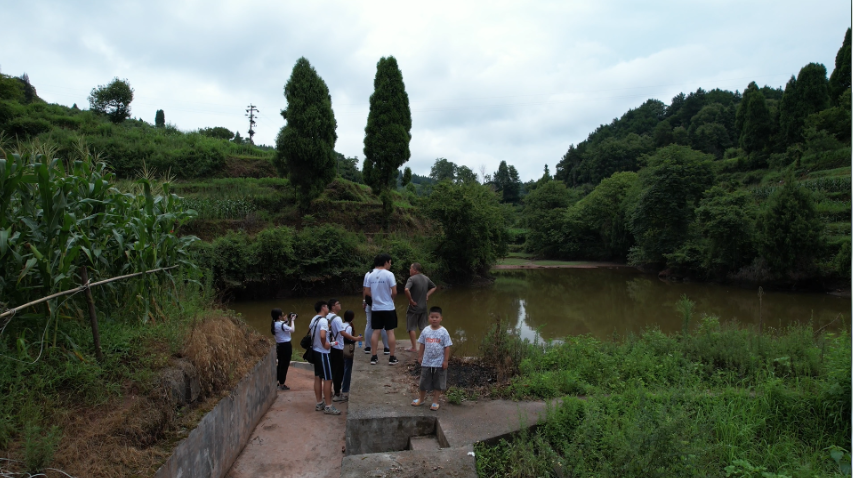 bevictor伟德官网