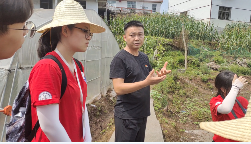 bevictor伟德官网